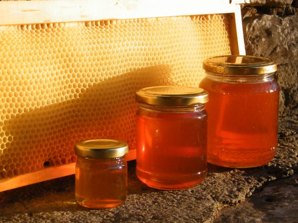 le api e il miele coop. Serapia