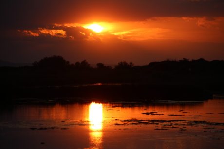 Tramonto nel parco dune