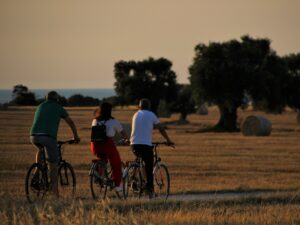 In bici tra gli oliveti del Parco Dune Costiere