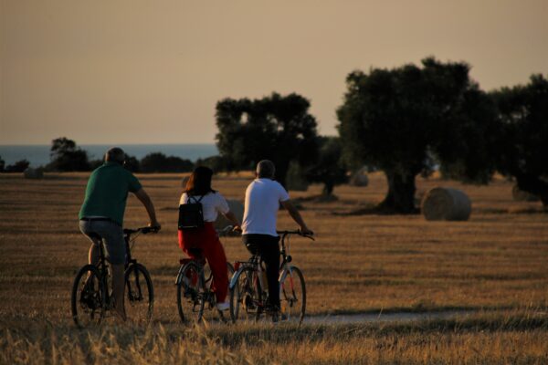 In bici tra gli oliveti del Parco Dune Costiere