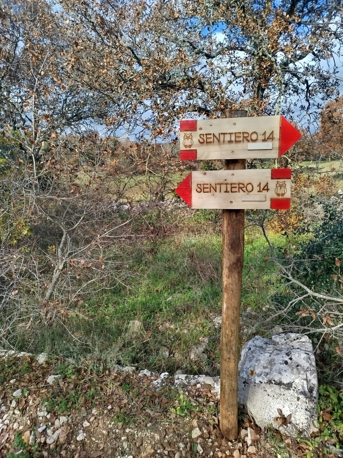 Bosco delle Pianelle - dicembre 2025 (2)