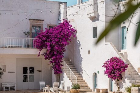 masseria mozzone