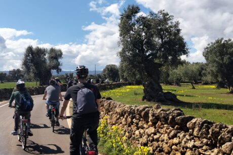 Pedalando sulla via Francigena del sud