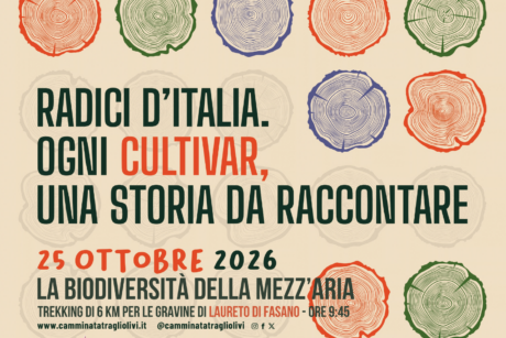 Camminata tra gli olivi X edizione